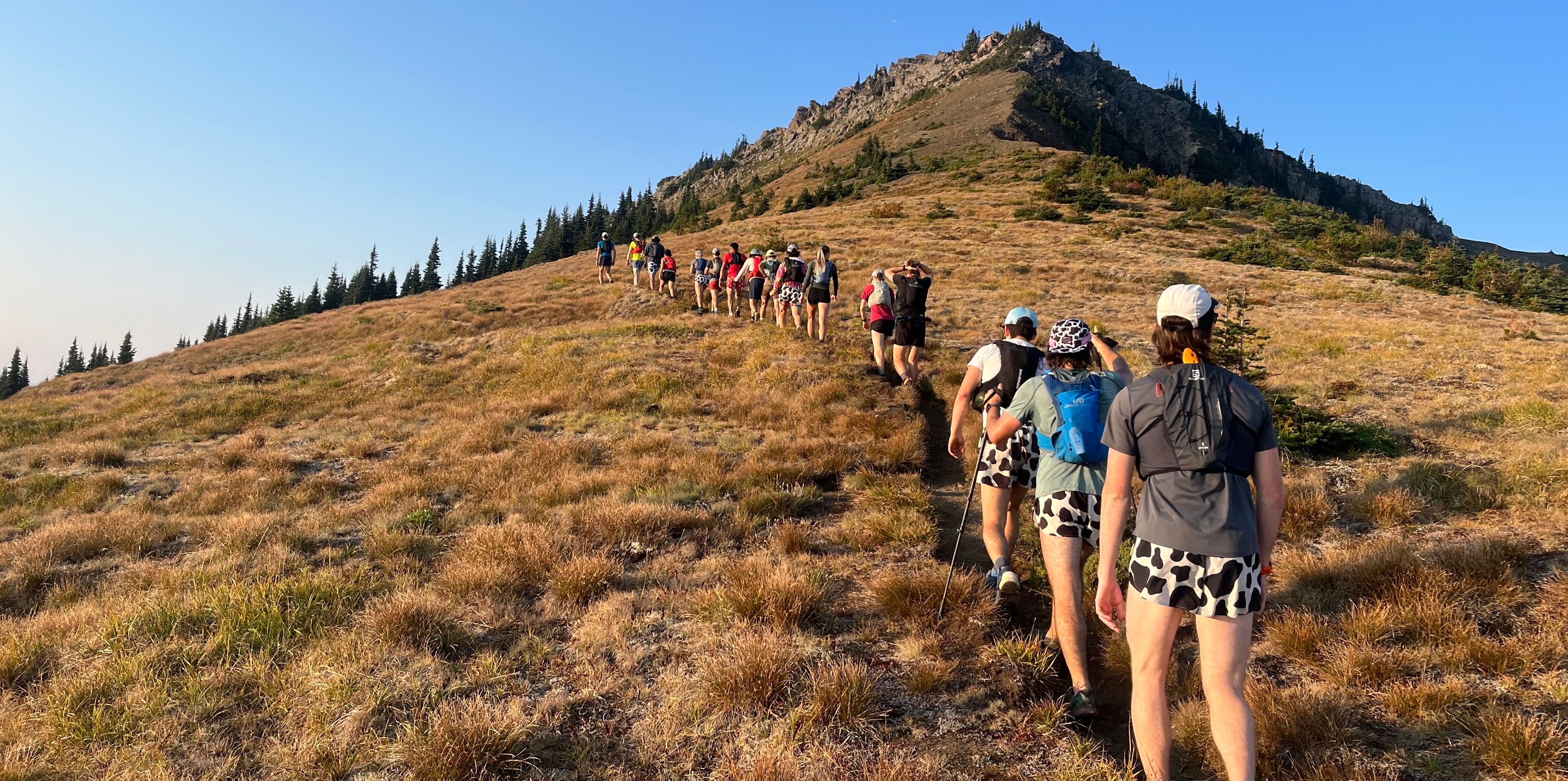 Runners at the start of a run in the Olympic National Forest